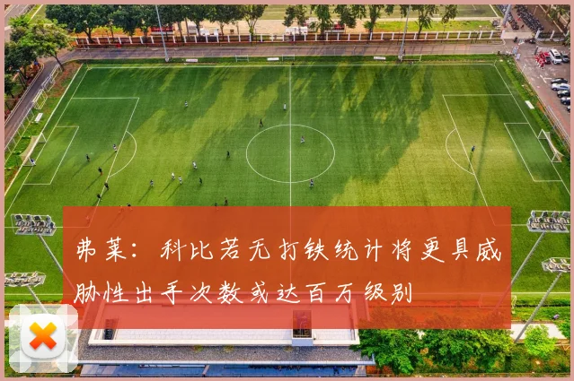 弗莱：科比若无打铁统计将更具威胁性出手次数或达百万级别